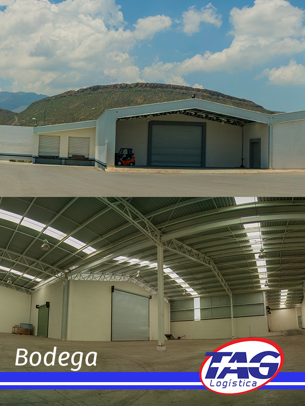 bodega